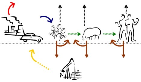carboncycle carboncycle