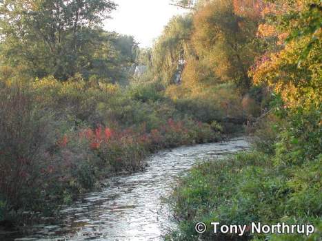 charles-river-in-watertown5